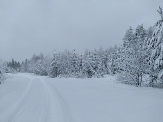 snow covered road