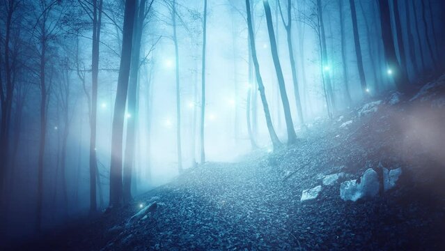  Fantasy foggy blue forest with motion lights animation.