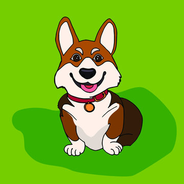 Сartoon Corgi dog on green grass vector color image