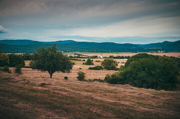 Brown summer field behind the village. Peaceful summer scene in nature