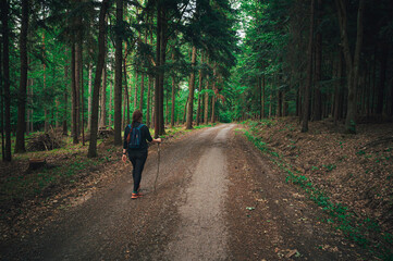 Obraz premium A female tourist walks through a green summer forest during a trip in nature. Hiking in forest