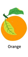 Orange fruit illustration for kids education 