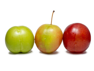 Plums for tkemali sauce. Several cherry plum fruits of varying degrees of ripeness. Plum variety. Juicy fruit. Healthy diet.