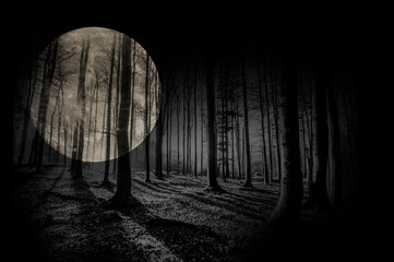 forest and the moon- black and white photography