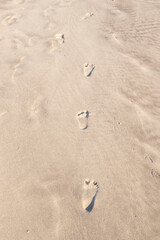Close up of human footprints on the sand beach, Selective focus.