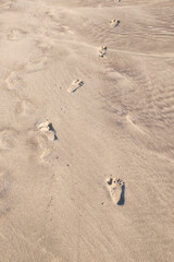 Close up of human footprints on the sand beach, Selective focus.