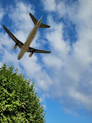 Airplane landing in a blue sky with a tree. Plane in the nature. Taking off from the airport.