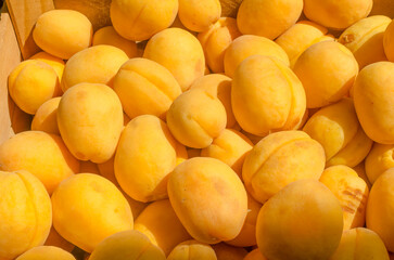 Fototapeta na wymiar Ripe fresh yellow apricot pattern background
