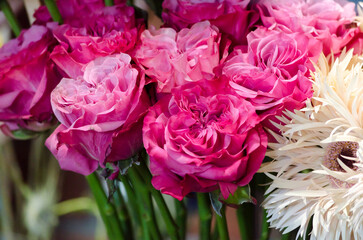 bright pink carnations bouquet close up