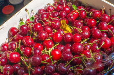 Ripe fresh red cherry pattern background