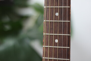 acoustic guitar close up