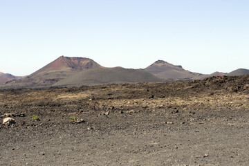 View of La Geria vineyard on black volcanic ground .Scenic landscape Lanzarote. Canary Islands. Spain