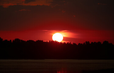 Obraz premium The Sun goes below the horizon. Sunset over the forest. The sun hides behind the trees. Red sunset and bright Sun