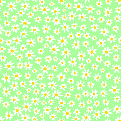 florals, chamomile vector seamless spring and summer daisy vector pattern green background