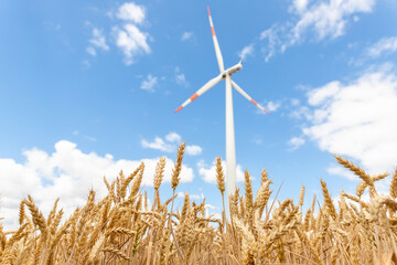 Scenic landscape view of wheat field harvest and big modern wind turbine mill farm against...