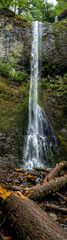 Fototapeta na wymiar Double Falls in the Silver Falls State Park, Oregon