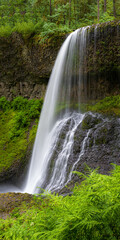Fototapeta na wymiar Drake Falls in Silver Falls State Park, Oregon