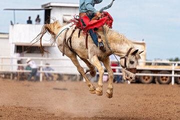 Cowboy On Bucking Bronco At Rodeo