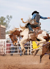 Cowboy On Bucking Bronco At Rodeo - obrazy, fototapety, plakaty