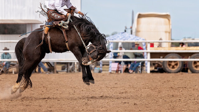 Cowboy On Bucking Bronco At Rodeo
