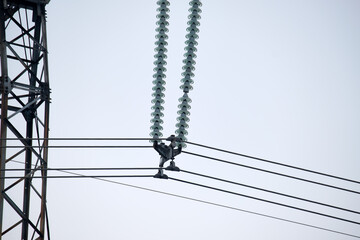 High voltage insulation string on steel pillar with electric power lines for safe delivering of...
