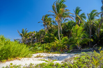 White sand beach with palms, temple of the descending god, Mayan Ruins in Tulum, Riviera Maya,...