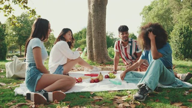 Happy smiling young multinational people at picnic on summer day outdoors. Four friends talking while spending the weekend together, relaxing in the park at picnic