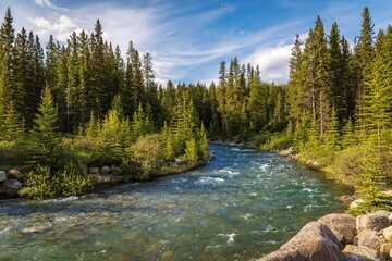 River Flowing Through A Forest