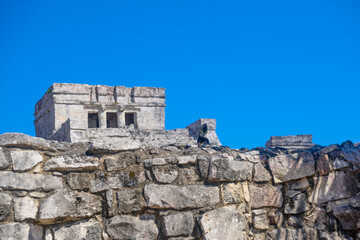 Fototapeta premium Gray iguana sitting on the stone wall of Mayan Ruins of The Castle in Tulum, Riviera Maya, Yucatan, Caribbean Sea, Mexico
