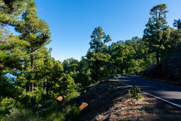 Driving on La Palma island to highest mountain Roque de los muchachos before Cumbre vieja volcano eruption in 2021, sunny day, Canary islands, Spain