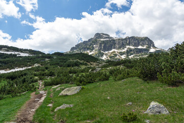 Landscape of Pirin Mountain near Popovo Lake, Bulgaria