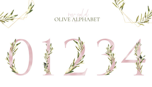 Watercolor Rose Gold Olive Floral Number floral set digit 0,1,2,3,4. Botanical greenery number for Baby shower, table number, birthday,digital invite,wedding invitation, oh baby, milestone card diy