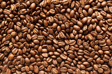 コーヒー豆エチオピアイルガチェフェナチュラル