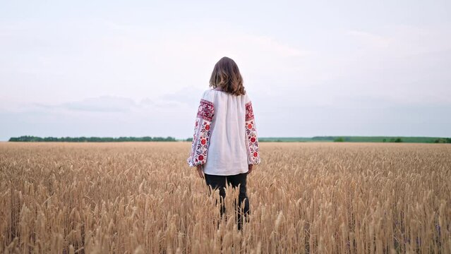 Unrecognizable ukrainian woman in yellow ripe wheat field. Back view. Lady in traditional embroidery vyshyvanka. Ukraine, independence, freedom, patriot symbol