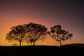 Fototapeta na wymiar Sunset sky on the fields