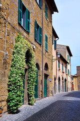 Fototapeta na wymiar the historic center of Tuscania Italy