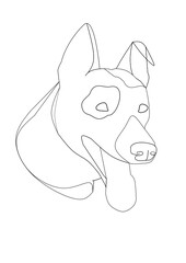 Mixed dog breed head