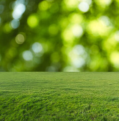 Naklejka premium Beautiful lawn with green grass on sunny day. Bokeh effect
