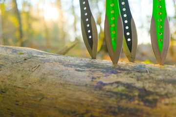 Throwing knives in a log in a forest.Sport and hobby concept. Black metal knives for throwing in a...