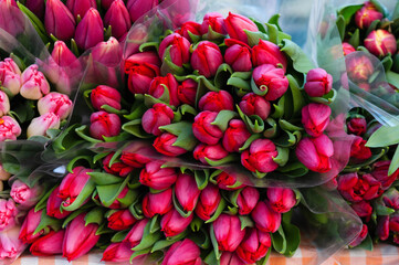 Assortment of bright tulip flowers on table