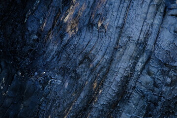 Details patterned surface texture of the wood