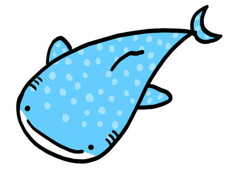 ジンベエザメ Images Browse 424 Stock Photos Vectors And Video Adobe Stock