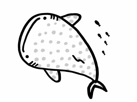 ジンベイザメ Images Browse 681 Stock Photos Vectors And Video Adobe Stock