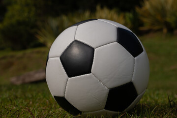 soccer ball on grass