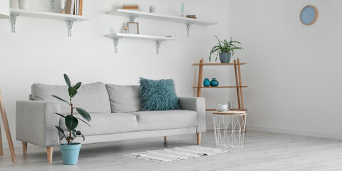 Stylish grey sofa, shelves and houseplants in modern interior of living room