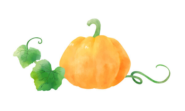 カボチャ Images Browse 27 001 Stock Photos Vectors And Video Adobe Stock