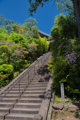 The stairways of Komyo-ji temple.  Kyoto Japan
