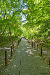The approach of Komyo-ji temple.  Kyoto Japan
