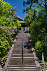 Obraz premium The stairways of Komyo-ji temple. Kyoto Japan 
