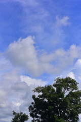 Beautiful sky. Cumulonimbus cloud and cirrus cloud